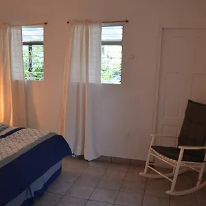 Apartamento Palm Trees, Willemstad